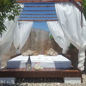 Rayo Del Sol Bed & Breakfast